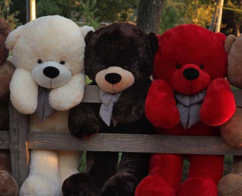 stores to buy teddy bears